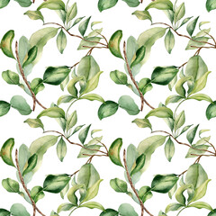Leaves on branch fruit tree watercolor seamless pattern isolated on white. Foliage of citrus tree hand drawn. Bergamot , grapefruit plants in botanical sketch style. Assorted green leaf for print