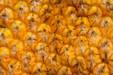 closeup background of orange pineapple skin