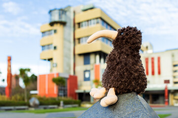 Little Brown Kiwi City