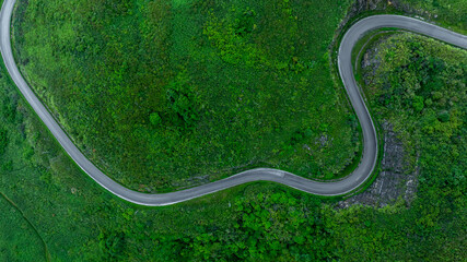 Aerial view road through the green forest on mountain road, Car drive on asphalt road going through green forest, Curved road from above.