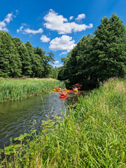 The small and wild Grabia river in central Poland.