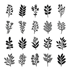 Set of leaves illustration vector