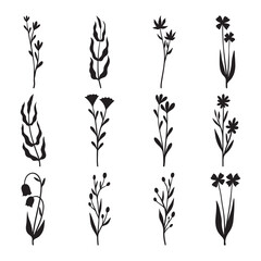 Set of plants and flower silhouette