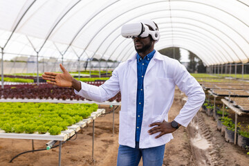 Using VR headset, African American farmer managing hydroponic vegetable garden in greenhouse