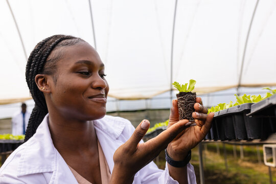Inspecting seedling in hydroponic farm greenhouse, female farmer smiling