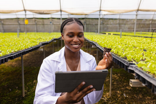 Female farmer using tablet and inspecting plants in hydroponic farm greenhouse