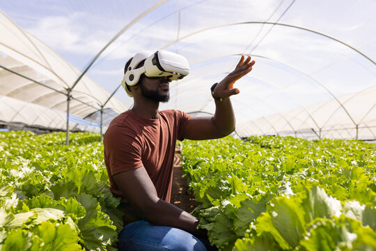 Using VR headset, farmer managing hydroponic vegetable garden in greenhouse