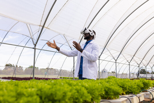 African American farmer using VR headset for managing hydroponic vegetable farm - Powered by Adobe