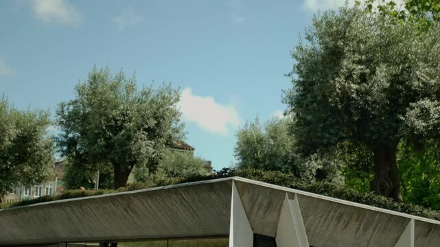 Some trees in a park on top of a town construction (Porto, Portugal).
