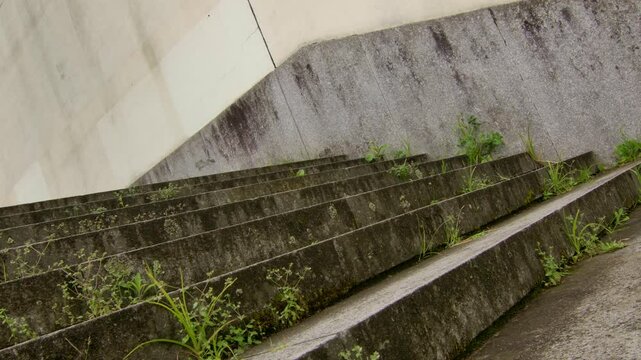 Some stairs with grass growing out from it.