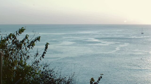 View from a cliff in&nbsp;Bali near Uluwatu at sunset. Thea Indian Ocean is below the cliff and in the foreground is some vegetation moving in the wind. The handheld shot shows a sailing boat in the sea.