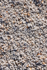 The background is a scattering of white colored quartz pebbles. View from above.