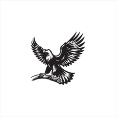 Eagle Bird silhouette vector art illustration