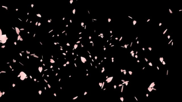Flying cherry blossom particle animation alpha channel included 4K