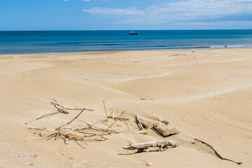 Pieces of wood on the beach of Gruissan in France