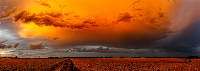Panoramafoto einer abziehenden Gewitterwolke, die vom Licht der untergehenden Sonne orange...