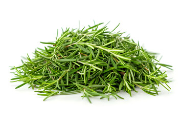 fresh herb rosemary