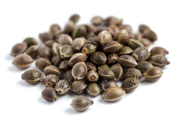 Obraz premium Cannabis Seeds. Close-up of Marijuana Seeds Isolated on White Background for Agriculture or Cultivation