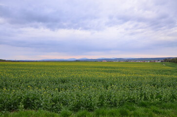 Obraz premium Village of Bolatice with Beskydy Mountains in the Background