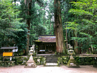 龍穴神社 - 奈良・室生
龍王が住む神社