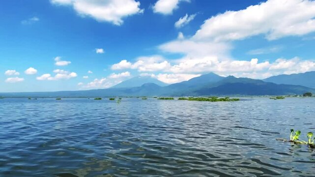 Time lapse, Rawa Pening lake contains water hyacinth plants against a backdrop of mountains and blue sky and white clouds