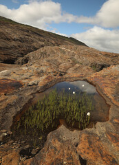 Svartisen Gletscher, Norwegen