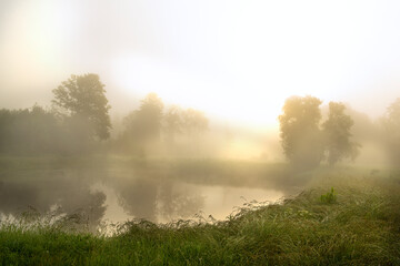 calm lake in the fog on an early summer morning and the sun in the fog. Grass in the grass on the banks.