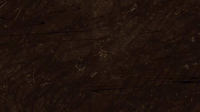 dust film noise grain hair handwriting scratches texture background