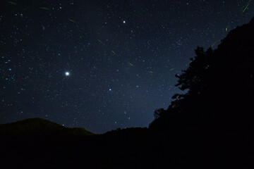 星空に舞うホタルの一筋の光