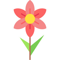 narcissus, Blossom, flower, jonquil, plant Icon