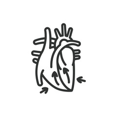 Systolic Blood Pressure, in line design. SBP, hypertension, BP monitoring, cardiovascular health, heart health on white background vector. Systolic Blood Pressure editable stroke icon.