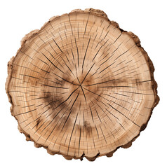 Old piece table of tree stump isolated on transparent background