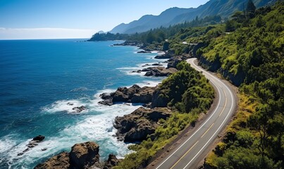 Fototapeta premium Coastal Road Winding Through Lush Green Hills