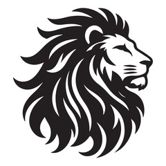 Lion head vector image front view on whit background.