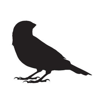 recommend clip art: A bird vector silhouette designs 