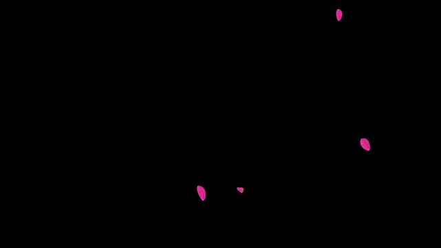 flower leaf petals fall particle effect transition