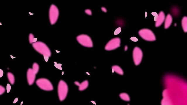 flower leaf petals fall particle effect transition