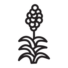 Quinoa Vector Line Icon Design