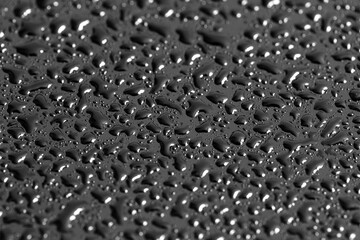 Water drops on a black background. Texture