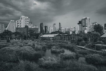 Fototapeta premium Black and white shot of Bangkok from a park