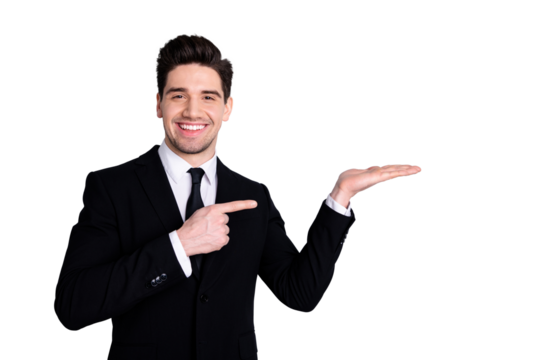 Portrait of handsome satisfied representative present option news information recommend discount sale feedback advert concept advise choose decide suggest isolated argent background stylish outfit