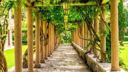 beautiful green gallery of a outdoor park with nice columns and botanic plant decorations of climbing grape vine with stone pavement and leading lines