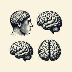 vintage human brain illustration. hand drawn barbershop tools isolated background