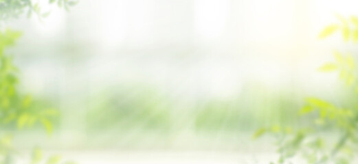 Blur big window with abstract green garden  background.