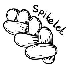 Doodle illustration featuring a sweet braided loaf of black outline, and the sweet name spikele. Image is handmade with different line thicknesses. Contour illustration for baking in cafes, bakeries