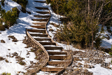 An inviting set of wooden stairs curves gracefully on a snow-covered trail, leading through a tranquil, forested landscape that hints at adventure and discovery.