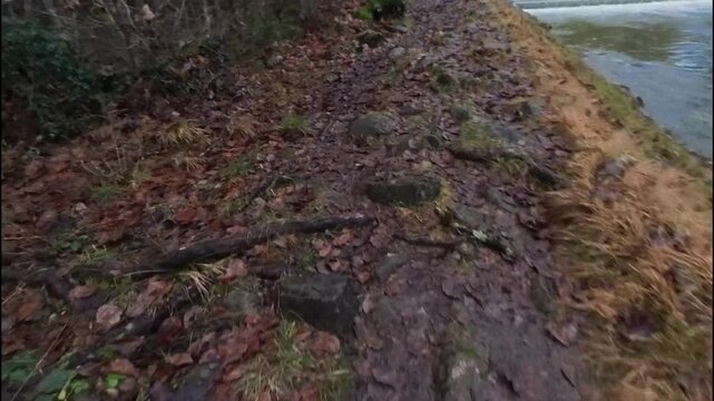 A POV shoot of the ground along the riverbank besides the Aar river, Switzerland