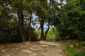 Nature of Monterosso