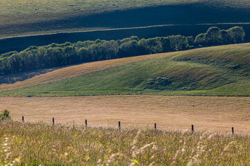A South Downs rolling landscape on a summer's evening