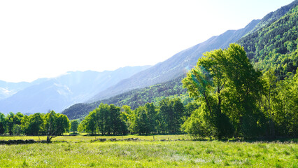 Obraz premium Mountain landscape in the eastern Pyrenees.